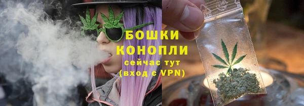 мдпв Верея