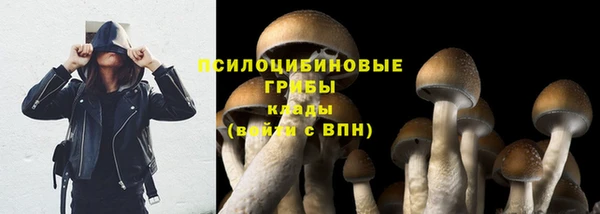 MDMA Верхний Тагил