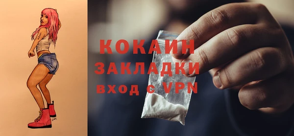 мдпв Верея
