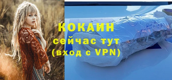 дурь Бронницы