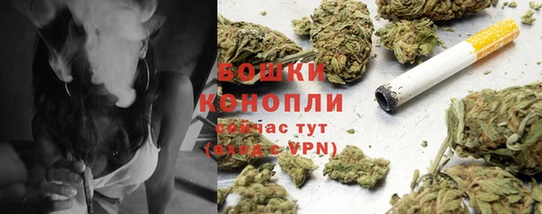 ГАЛЛЮЦИНОГЕННЫЕ ГРИБЫ Верхнеуральск