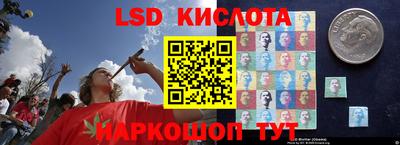 spice Камышлов