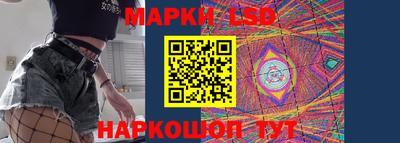 spice Камышлов