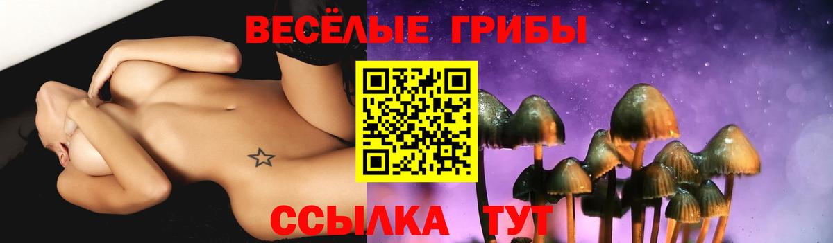 Псилоцибиновые грибы ЛСД Выкса